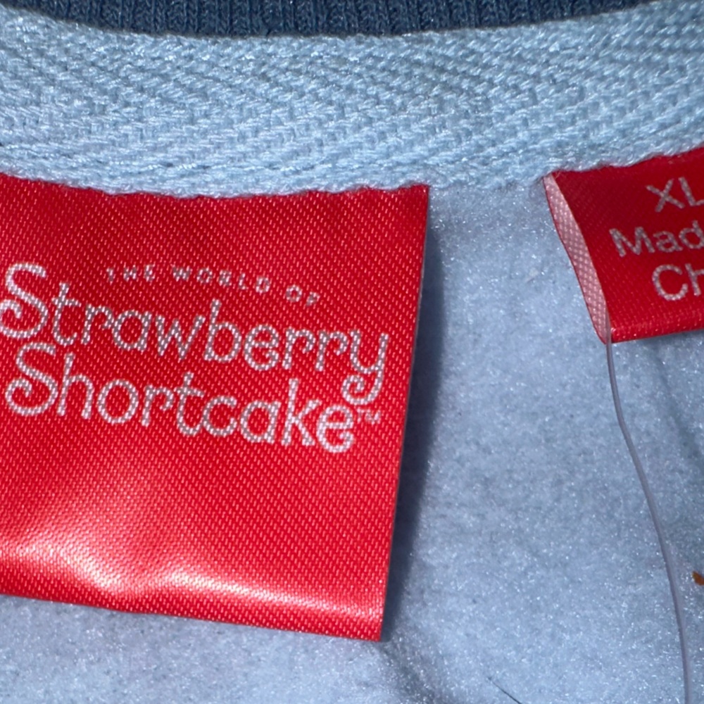 Strawberry Shortcake Blue Striped Cropped Crew Sweatshirt NWT XL Retro 80s Cute - Picture 5 of 8